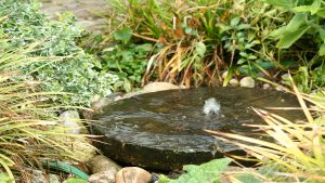 regenwater over molensteen tuincursus online