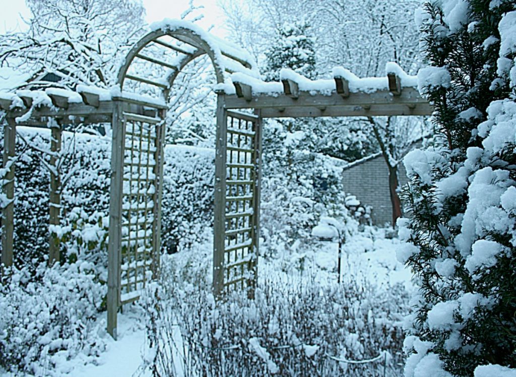 besneeuwde tuin uit de serie van Mijn Tuingeheim https://sneeuw-in-de-tuin/