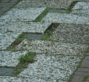 bestrating verzakt en kiert tuincursus online