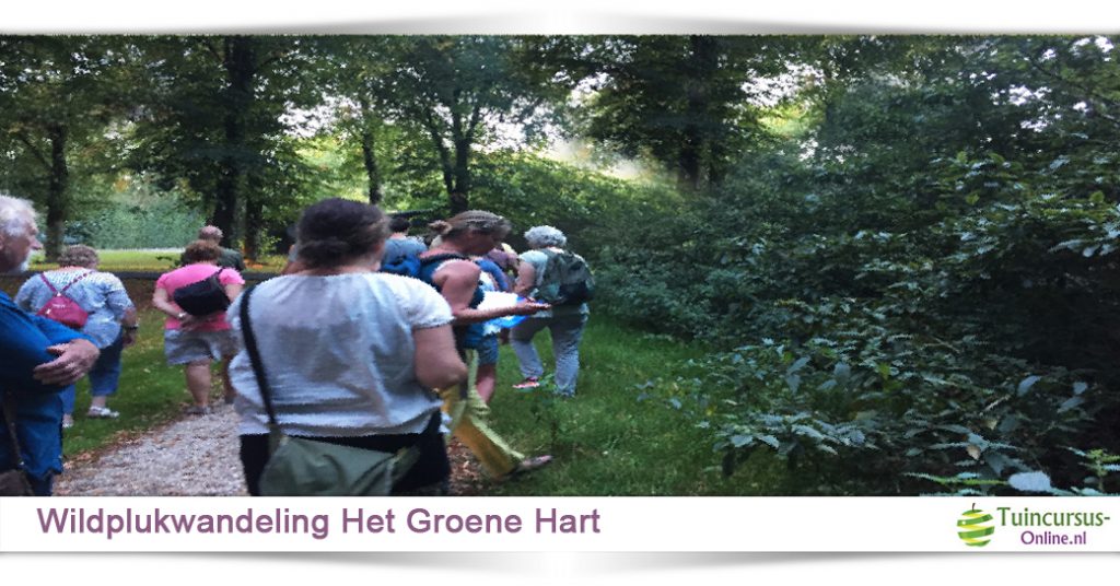wildplukwandeling het groene hart tuincursus online