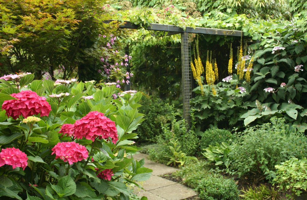 groene tuin is springlevend tuincursus online