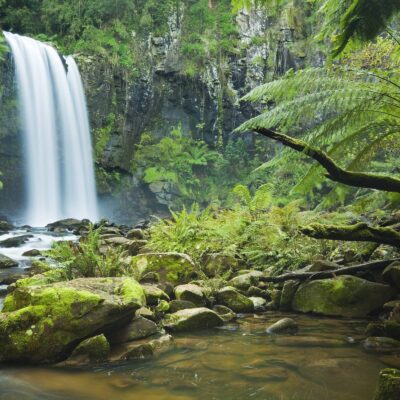 Inspirationtraining reconnect with nature